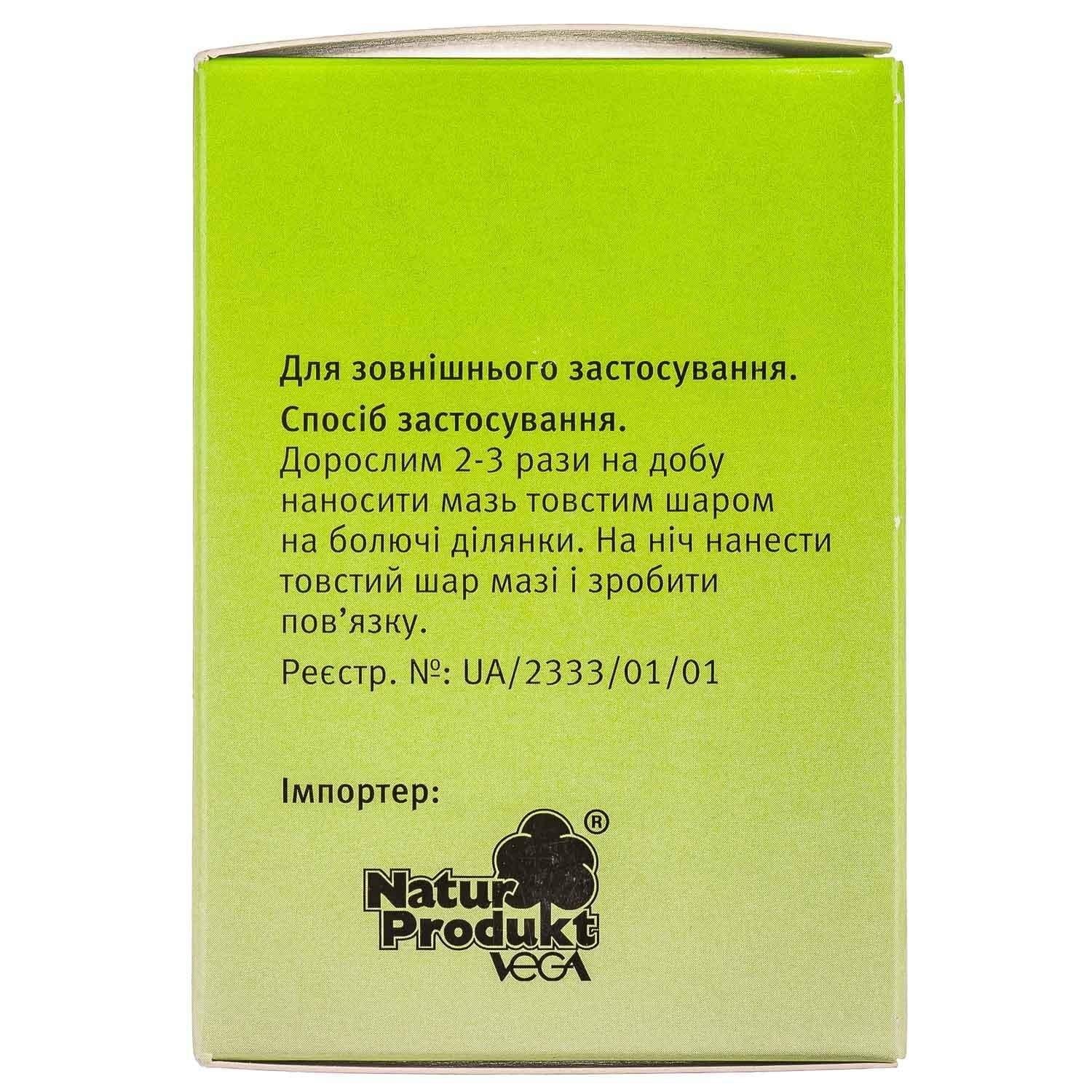 Dr. Theiss Comfrey Ointment 100 g – Herbal Pain Relief